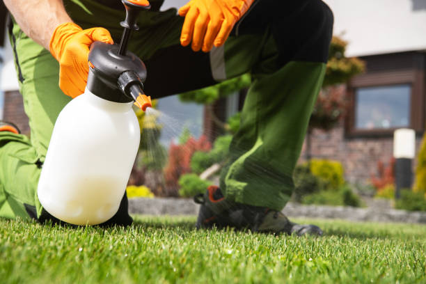 Best Pest Prevention Services  in Pomona, NJ
