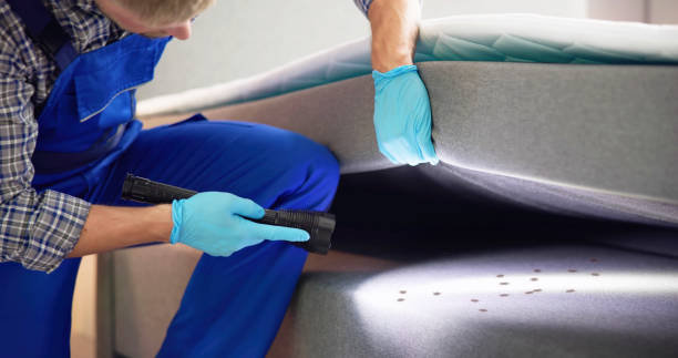 Best Termite Control Services  in Pomona, NJ