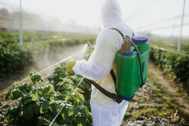 Best Pest Control for Restaurants  in Pomona, NJ